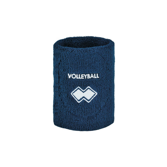 POLSINO VOLLEYBALL