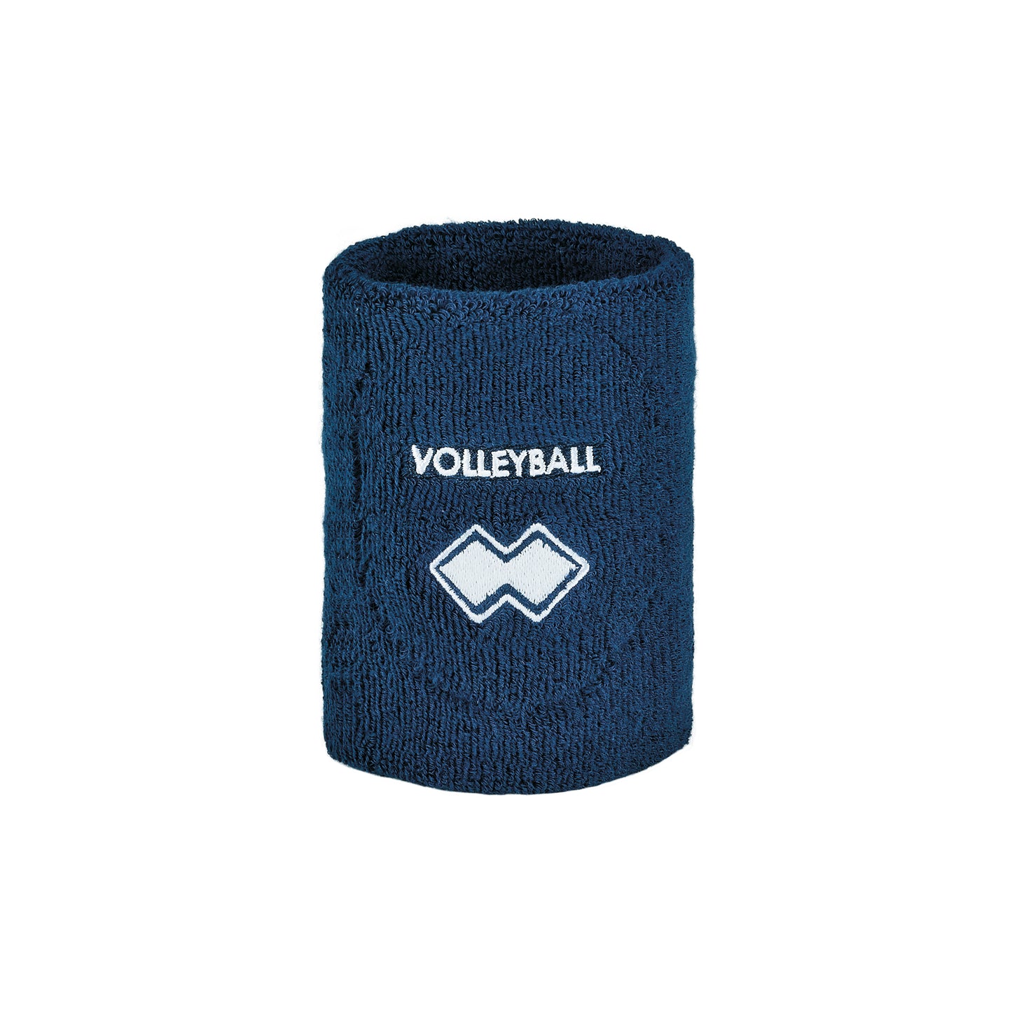 POLSINO VOLLEYBALL