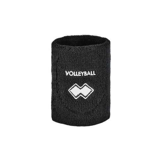 POLSINO VOLLEYBALL